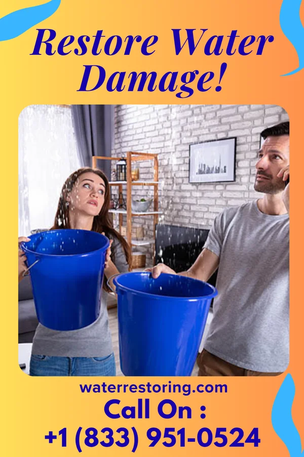 water restoration Master Flood Damage Force Washingtonville