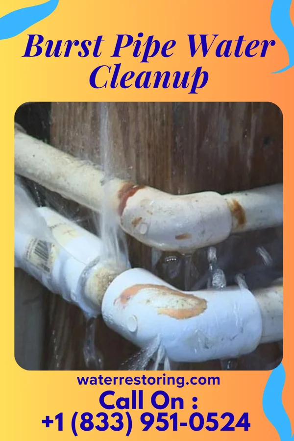 Burst Pipe Water Cleanup in Washingtonville, PA