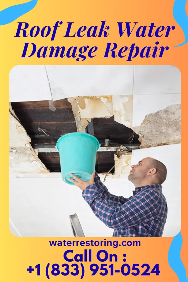 Roof Leak Water Damage Repair in Washingtonville, PA