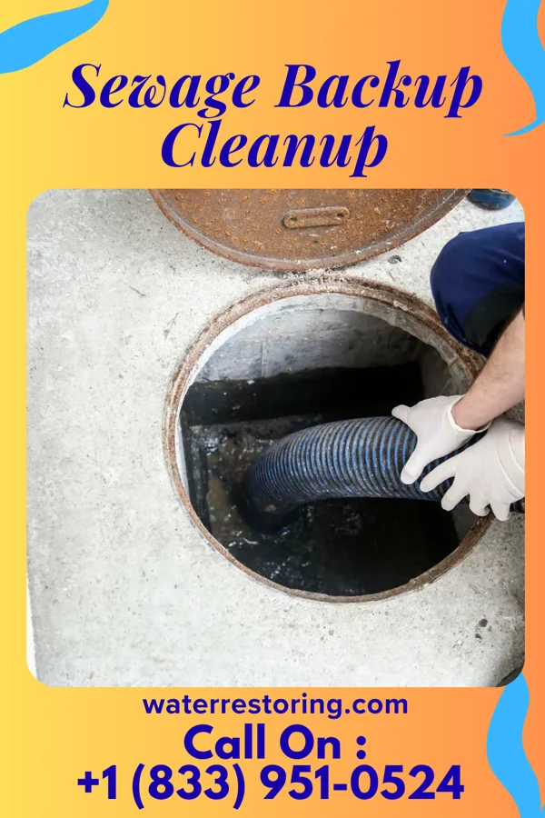 Sewage Backup Cleanup in Washingtonville, PA