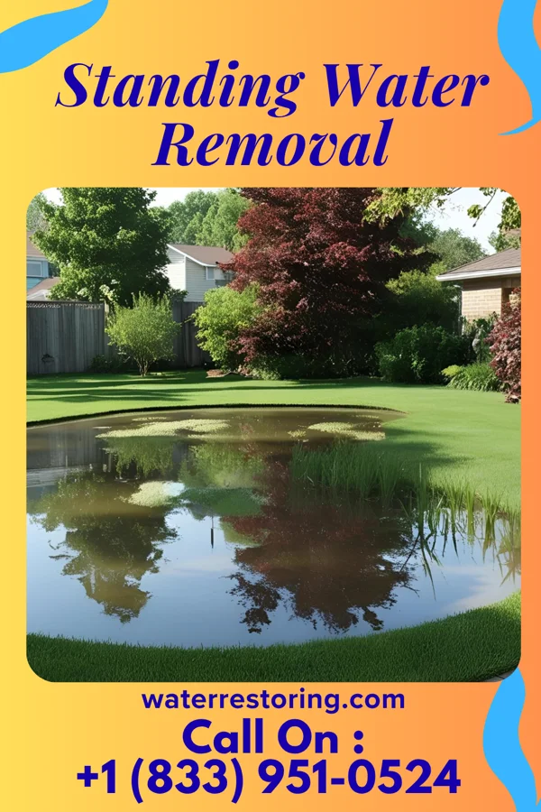 Standing Water Removal in Washingtonville, PA